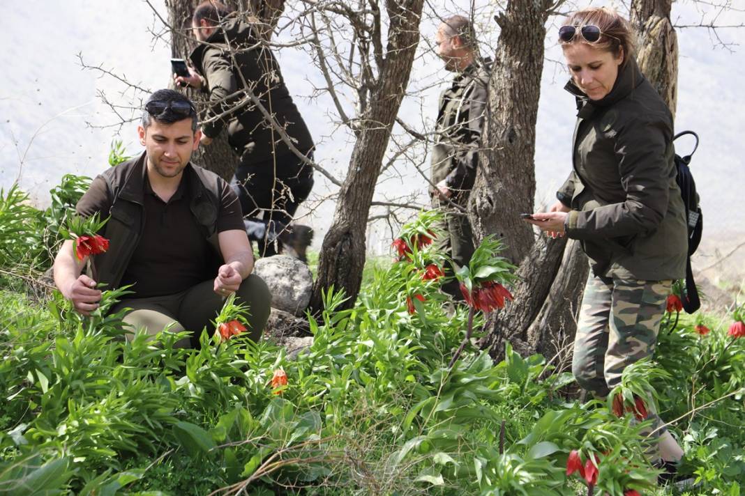Bu insanlar neye bakıyor? Gece-gündüz nöbet tutuyorlar, ilk kez görenler şaştı kaldı! 4